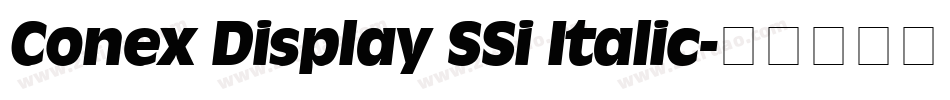 Conex Display SSi Italic字体转换